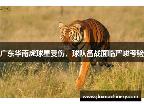 广东华南虎球星受伤，球队备战面临严峻考验
